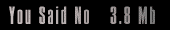 [You Said No]